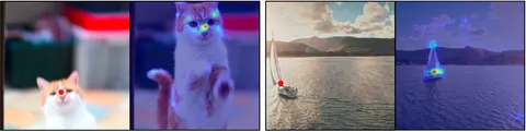 Fairy feature correspondences track a cat and a sailboat across video frames.
